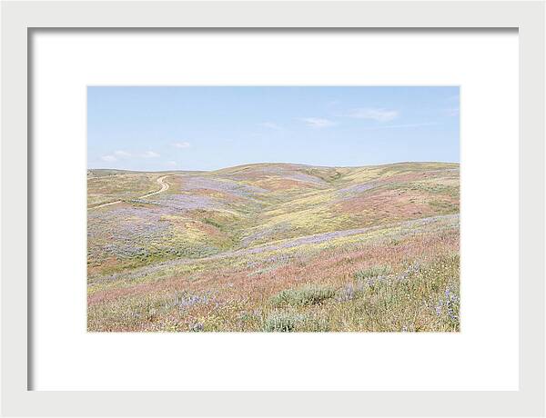 Pastel Hills In Bloom