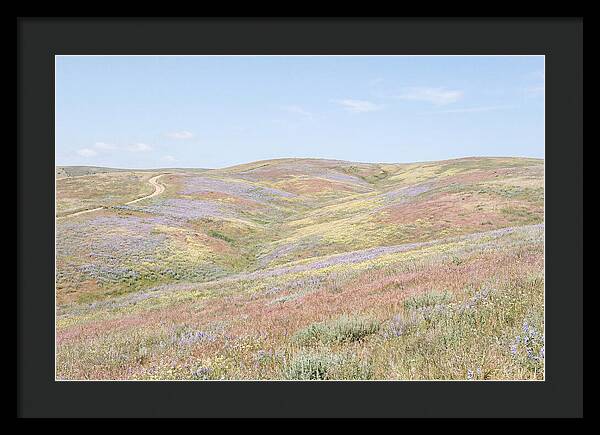 Pastel Hills In Bloom