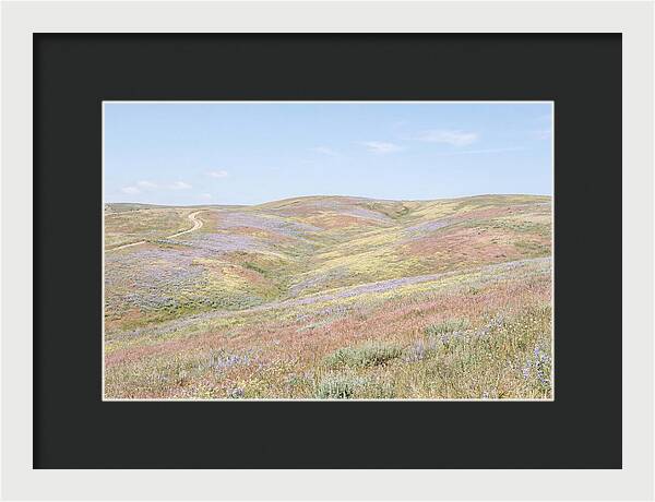 Pastel Hills In Bloom