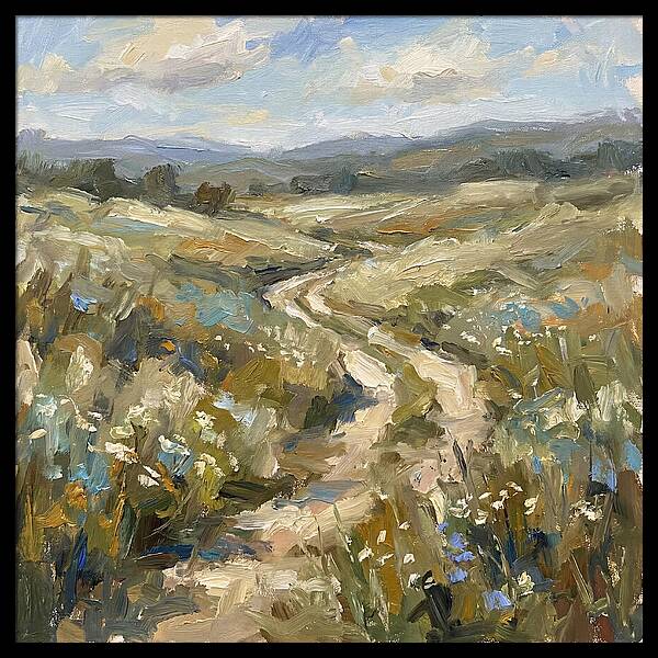 Path Through Serene Landscape