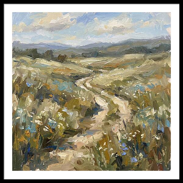 Path Through Serene Landscape