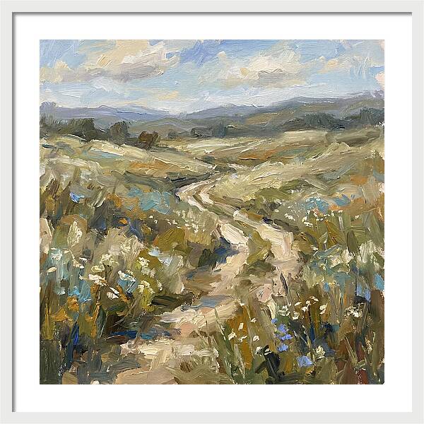 Path Through Serene Landscape