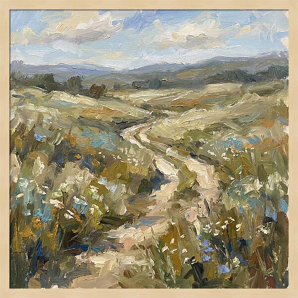 Path Through Serene Landscape