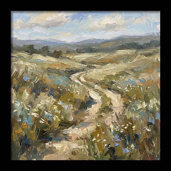 Path Through Serene Landscape