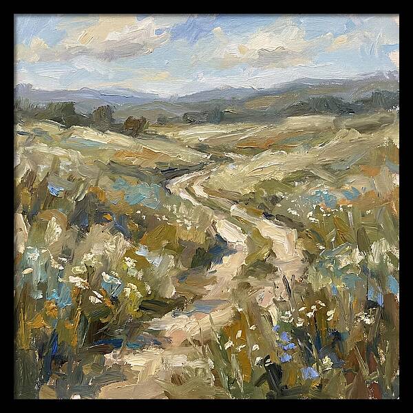 Path Through Serene Landscape
