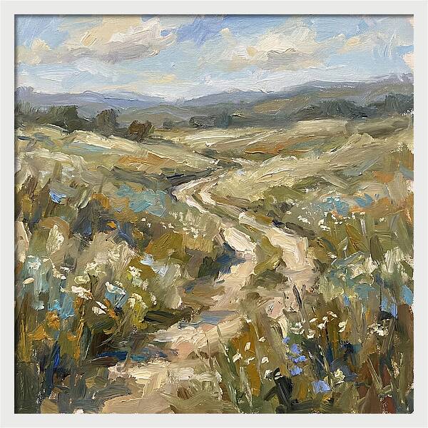 Path Through Serene Landscape