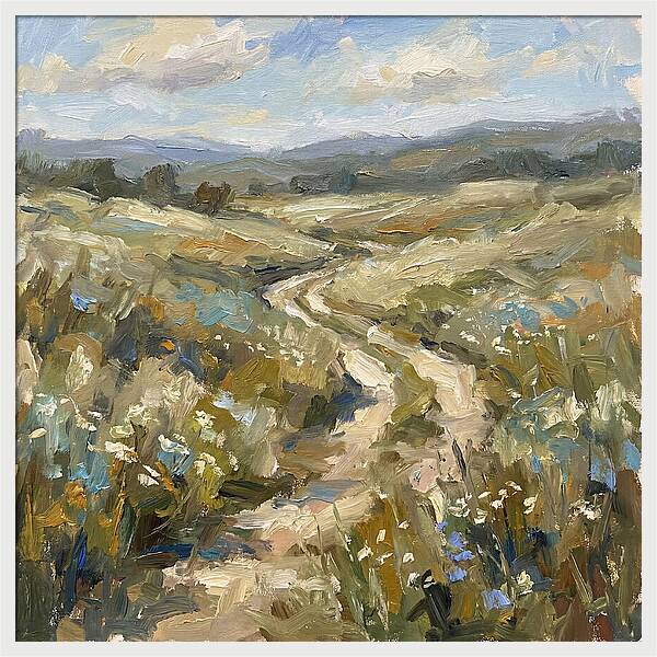 Path Through Serene Landscape