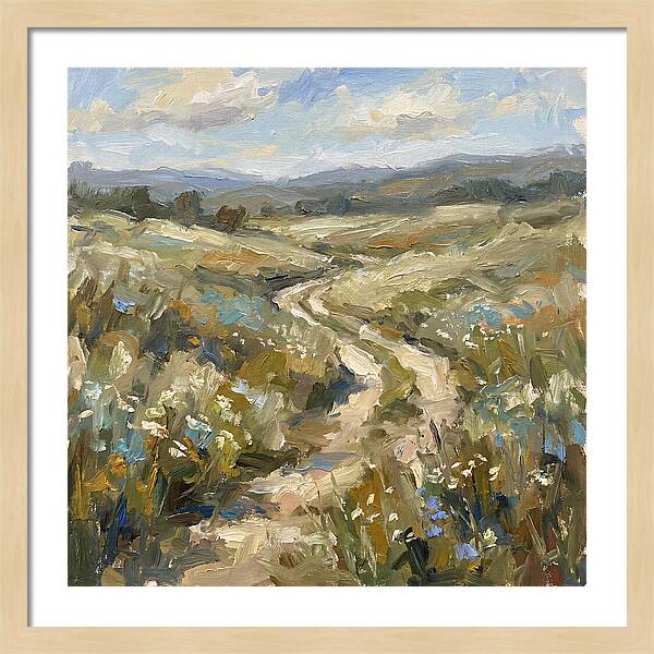 Path Through Serene Landscape
