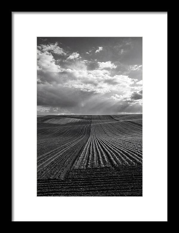 Patterns Of Valensole Plateau Fields