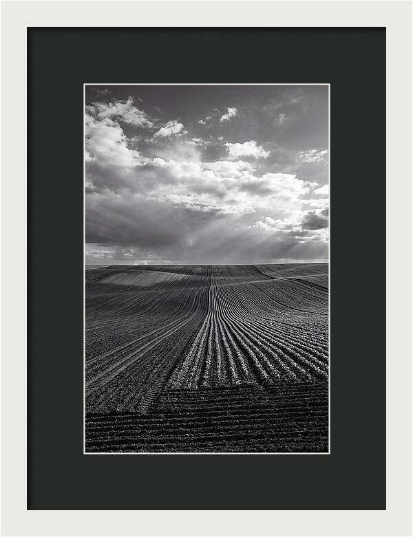 Patterns Of Valensole Plateau Fields