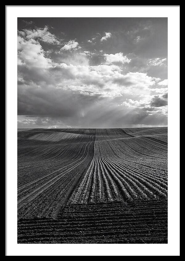 Patterns Of Valensole Plateau Fields