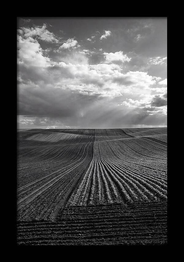 Patterns Of Valensole Plateau Fields