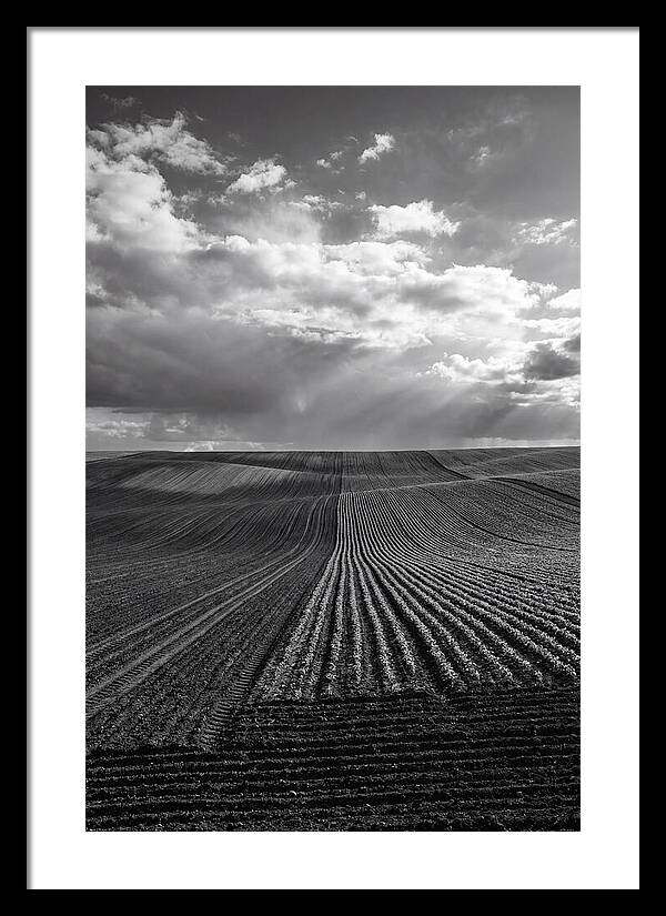 Patterns Of Valensole Plateau Fields