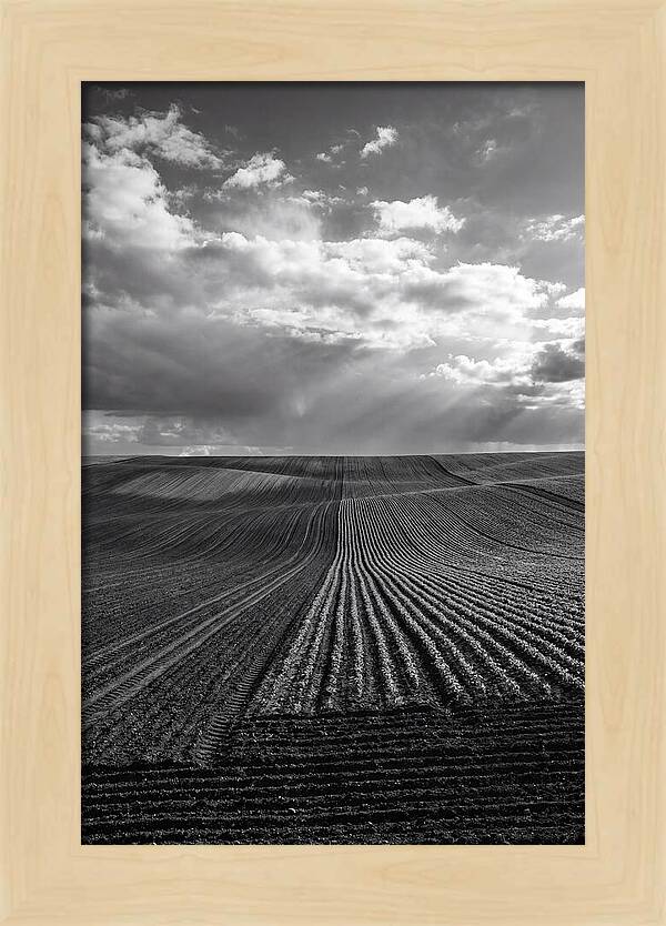 Patterns Of Valensole Plateau Fields