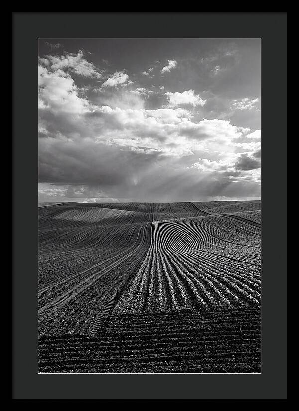 Patterns Of Valensole Plateau Fields