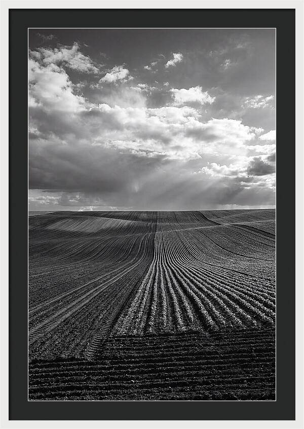 Patterns Of Valensole Plateau Fields