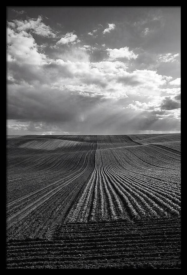 Patterns Of Valensole Plateau Fields