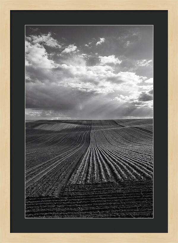 Patterns Of Valensole Plateau Fields