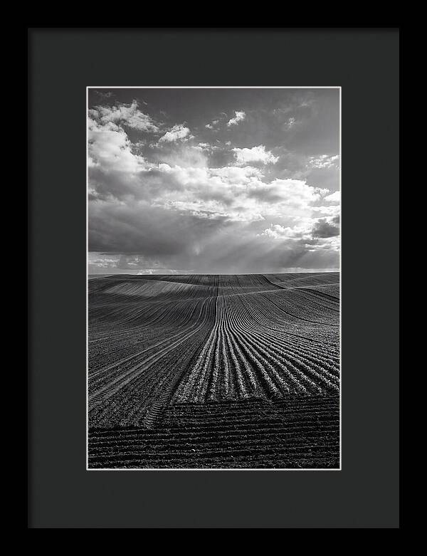 Patterns Of Valensole Plateau Fields