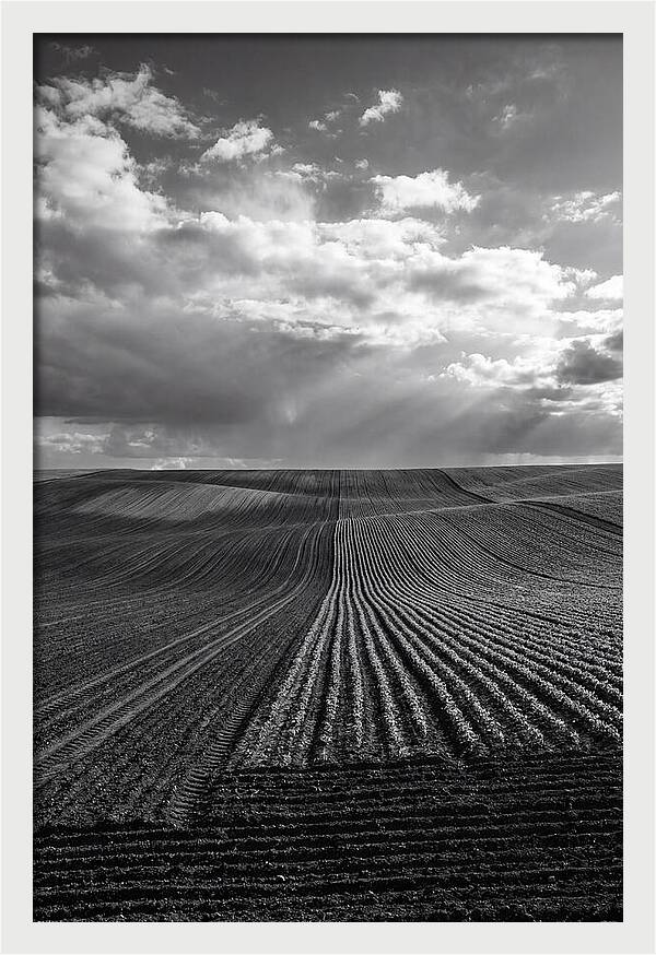 Patterns Of Valensole Plateau Fields