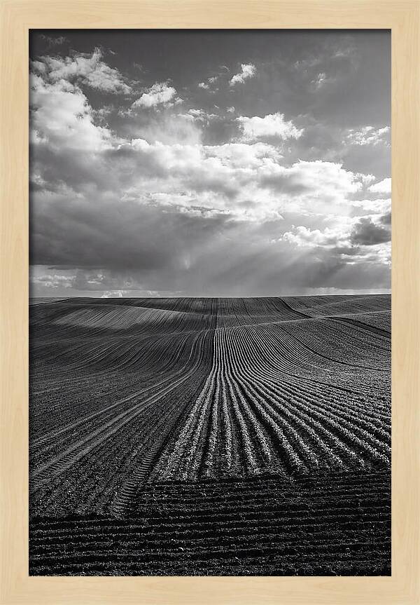 Patterns Of Valensole Plateau Fields