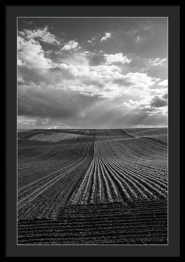 Patterns Of Valensole Plateau Fields