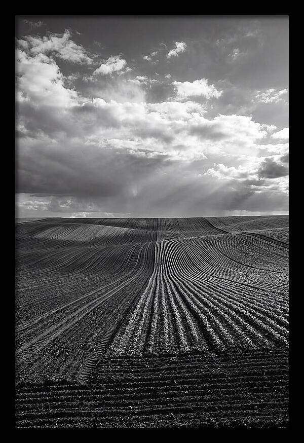 Patterns Of Valensole Plateau Fields