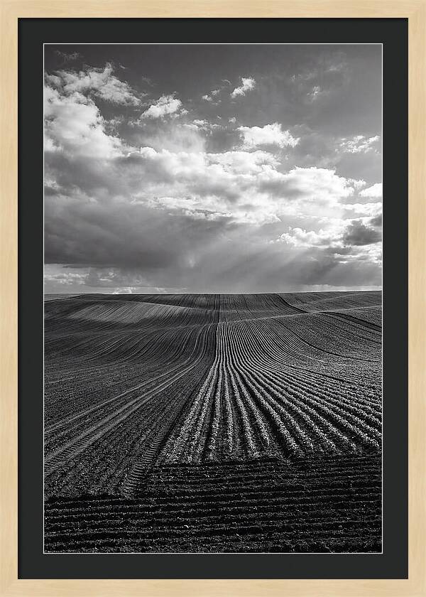 Patterns Of Valensole Plateau Fields