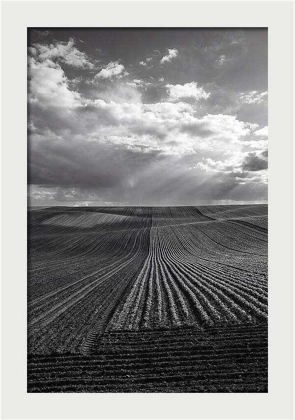 Patterns Of Valensole Plateau Fields