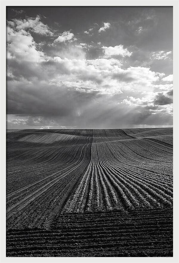 Patterns Of Valensole Plateau Fields