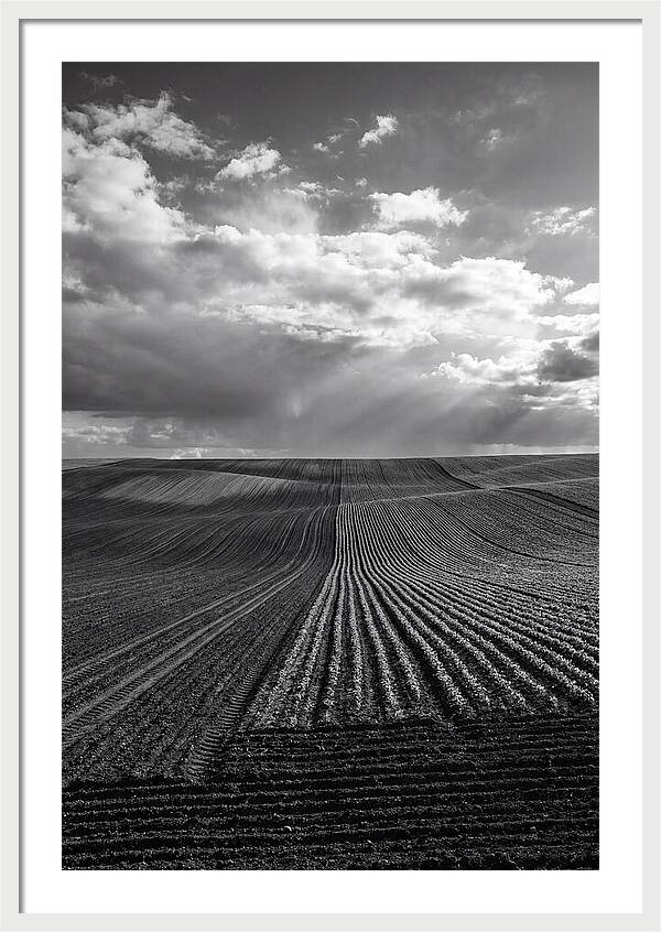 Patterns Of Valensole Plateau Fields