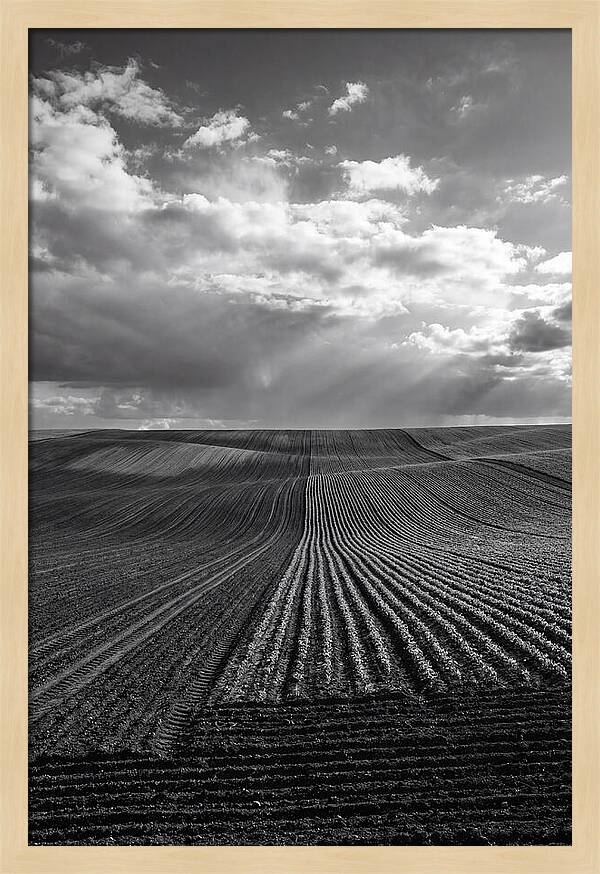 Patterns Of Valensole Plateau Fields