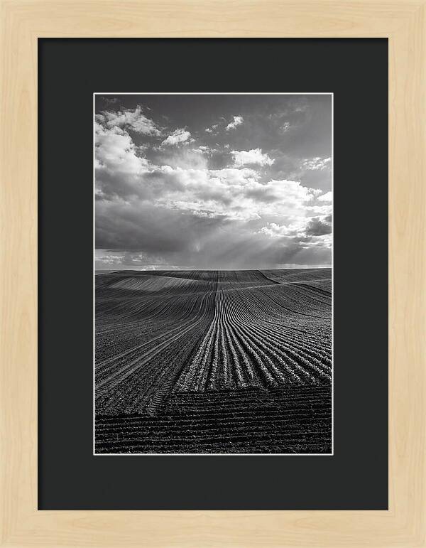Patterns Of Valensole Plateau Fields