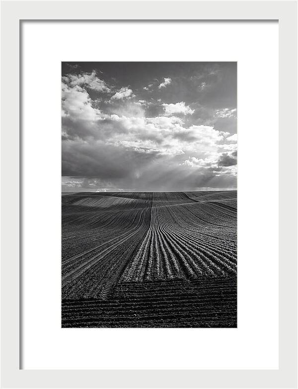 Patterns Of Valensole Plateau Fields