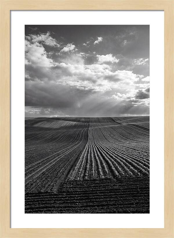 Patterns Of Valensole Plateau Fields