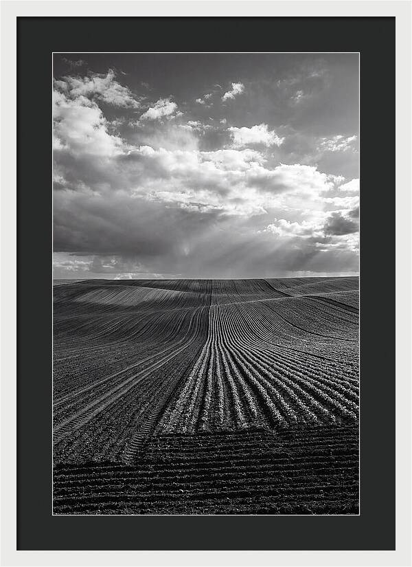 Patterns Of Valensole Plateau Fields