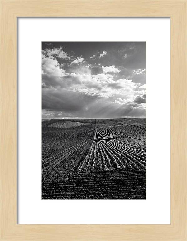 Patterns Of Valensole Plateau Fields