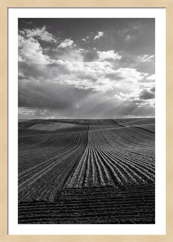 Patterns Of Valensole Plateau Fields