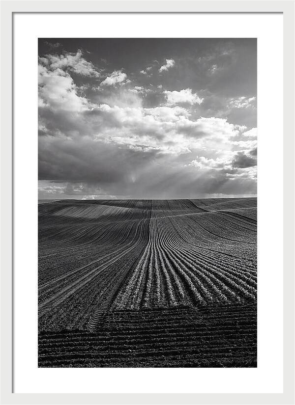 Patterns Of Valensole Plateau Fields