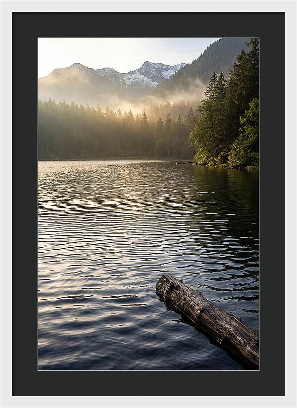 Peaceful Ripples Over Water