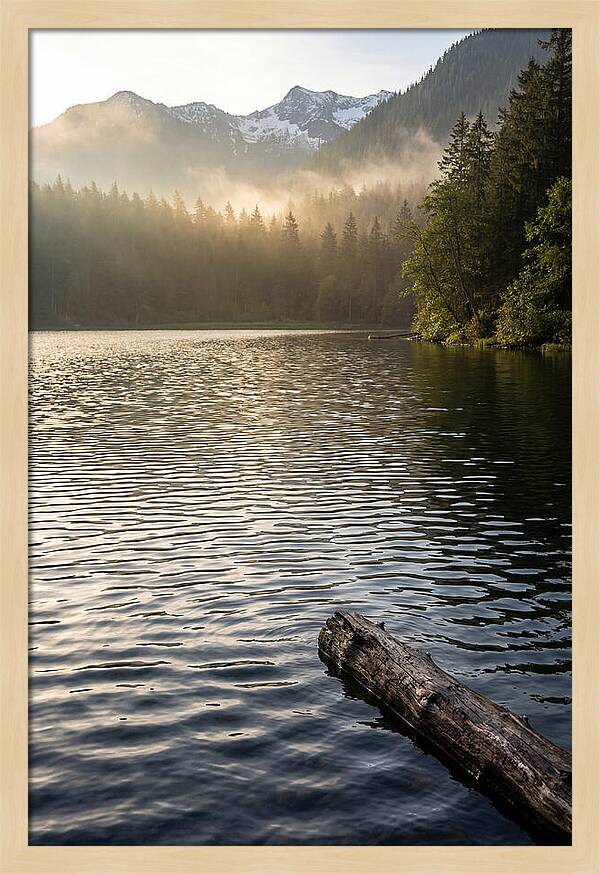 Peaceful Ripples Over Water