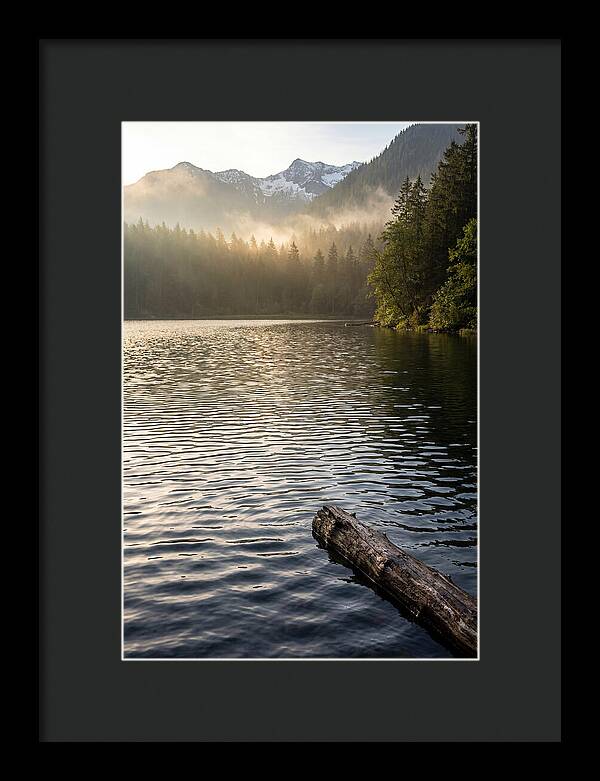 Peaceful Ripples Over Water