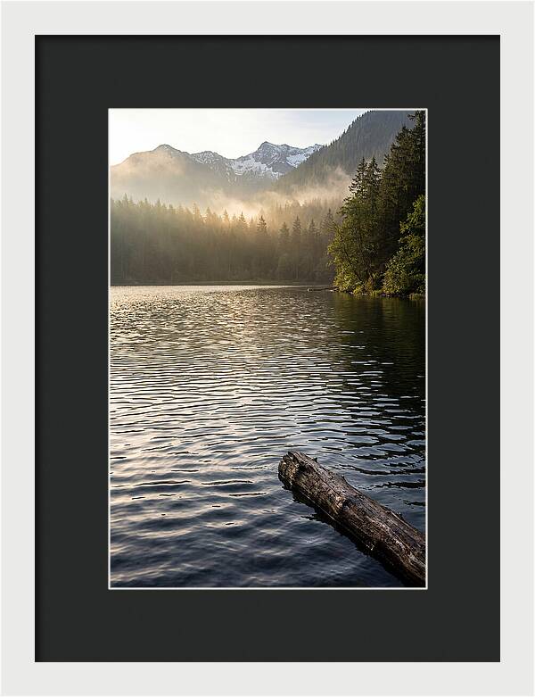 Peaceful Ripples Over Water