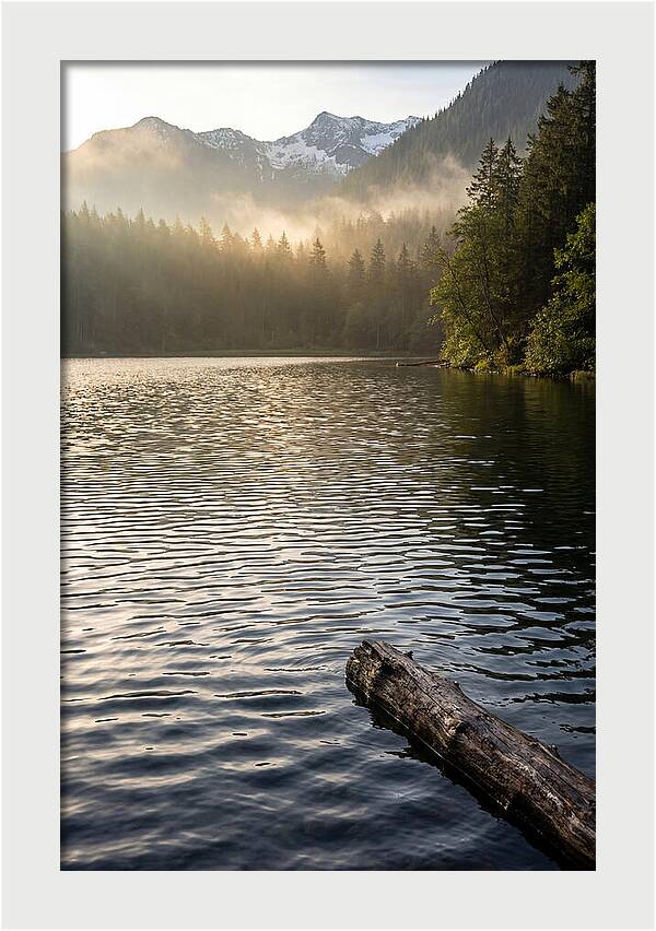 Peaceful Ripples Over Water