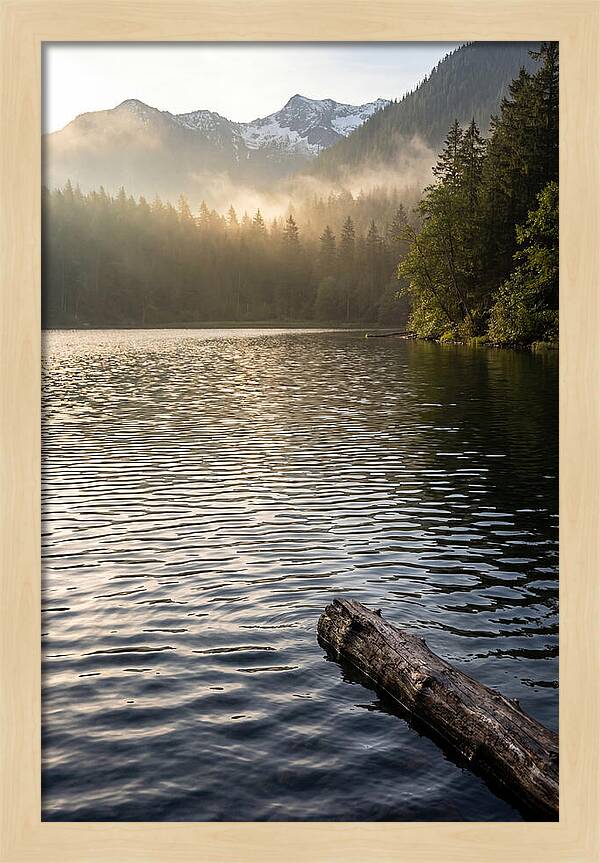 Peaceful Ripples Over Water