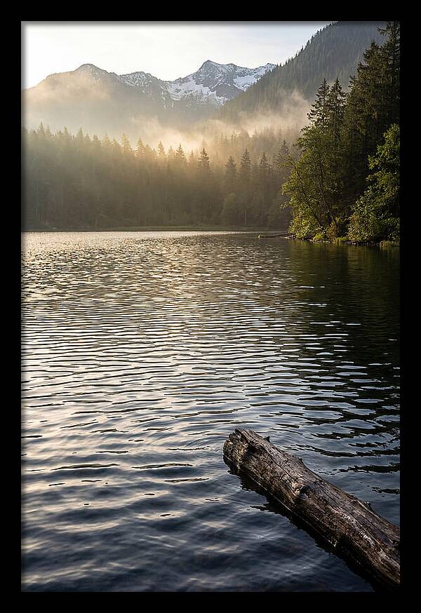 Peaceful Ripples Over Water