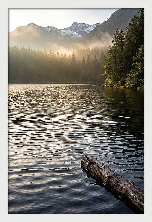 Peaceful Ripples Over Water