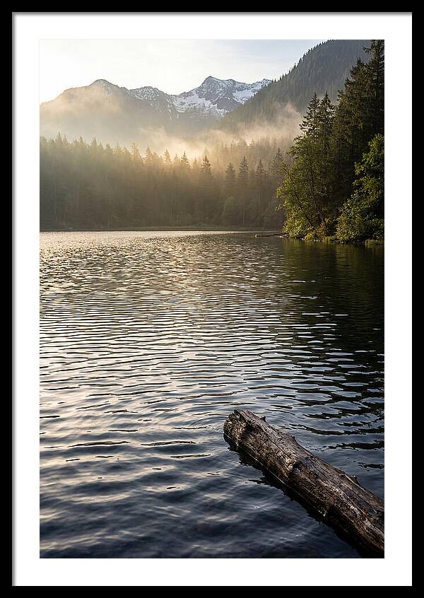 Peaceful Ripples Over Water