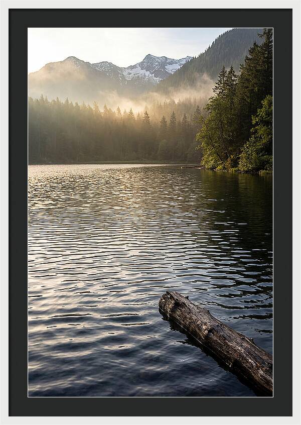 Peaceful Ripples Over Water
