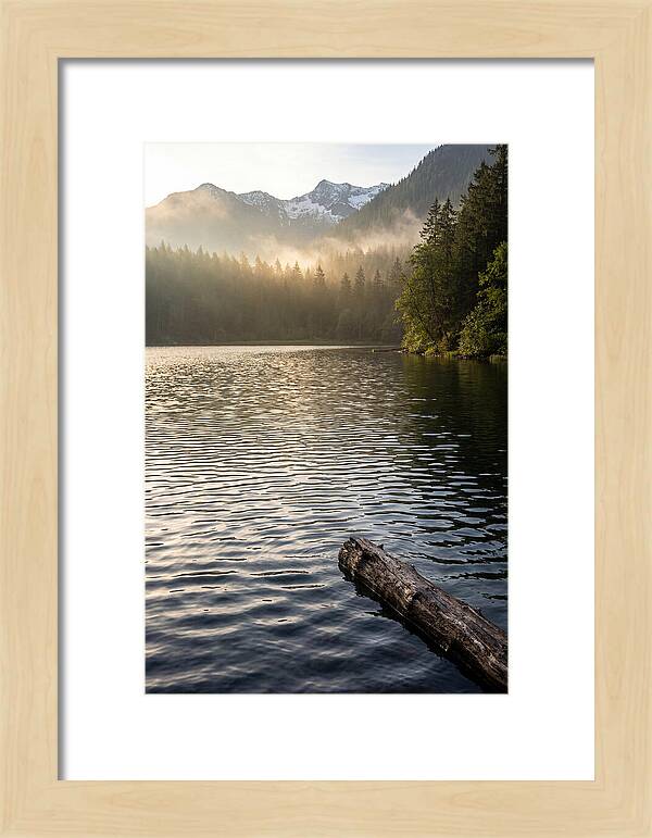 Peaceful Ripples Over Water